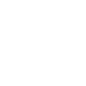 logo ape