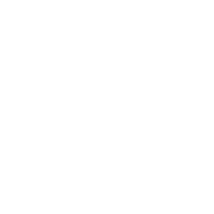 logobaldocer